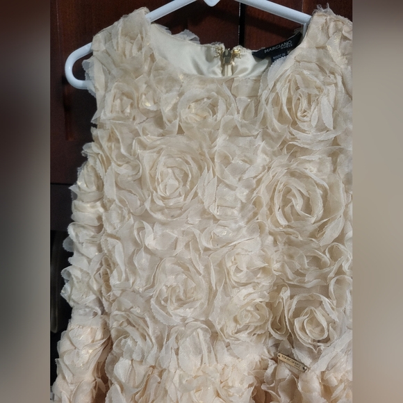 Flower Girl Dress, Roses Gold  ,  PartyDres size 8 - Picture 6 of 14